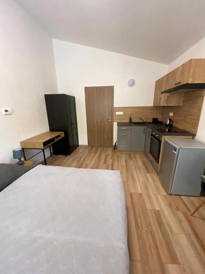Cerna Ruze - Apartman 7 Plzeň Esterno foto