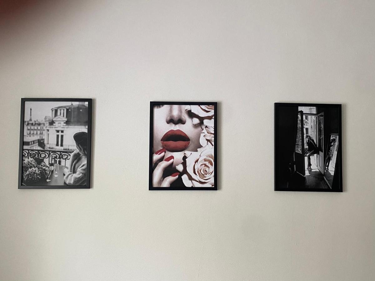 Cerna Ruze - Apartman 7 Plzeň Esterno foto
